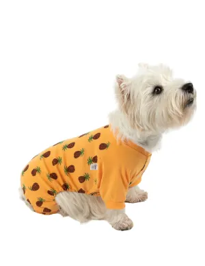 Dog's Pineapple Pajamas