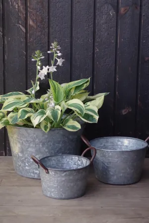 Galvanised Bucket Planters - Set of 3